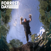 Forrest Day: So They Say