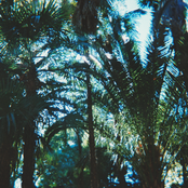 "The Stimulated Australia"