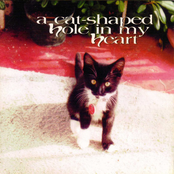 A Cat-Shaped Hole in My Heart