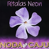 Pétalas Neon