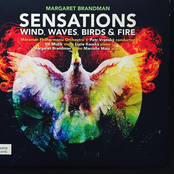 Sensations: Wind, Waves, Birds & Fire