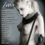 Zillo CD-10/2011
