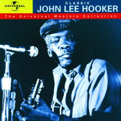 I Can't Quit You Baby by John Lee Hooker