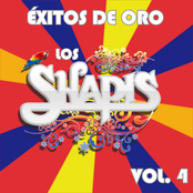 Éxitos de Oro, Vol. 4