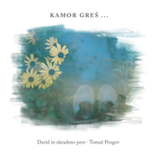 Kamor greš…