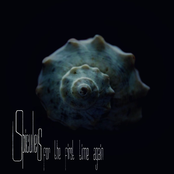 For The First Time Again