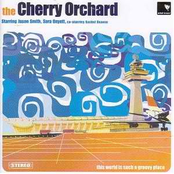 Something Special by The Cherry Orchard