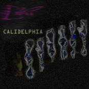 Calidelphia