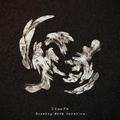 Snowing With Darkness