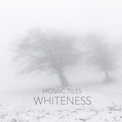 Whiteness