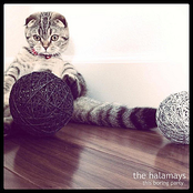 The Halamays: This Boring Party