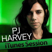 Interview by Pj Harvey