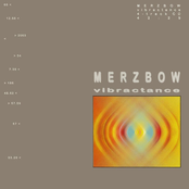 Vibrating Sand by Merzbow