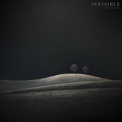 Invisible