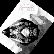 Glass Rain by Visions Of Trees