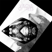 Ocean Floor by Visions Of Trees