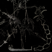 Sexual Desire Manipulate My Spiritual World