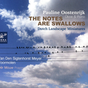 The Notes Are Swallows