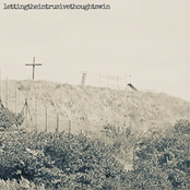 it's lonely out here in the woods...