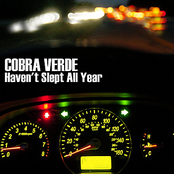 Wasted Again by Cobra Verde