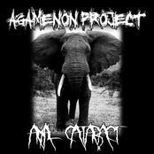 agamenon project / anal cataract