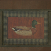 The Seed That Will Never Grow