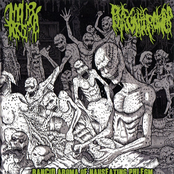 Rancid Aroma of Nauseating Phlegm