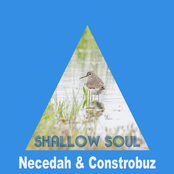 Shallow Soul