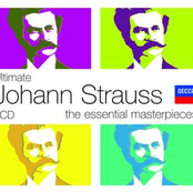 Ultimate Strauss Family (5 CDs)