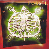 Fossil