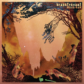 Francisco by Brasstronaut