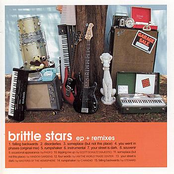 Disorderlies by Brittle Stars