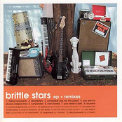 Your Street Is Dark by Brittle Stars