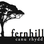 Y Fwynlan O Serch by Fernhill