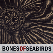 The Great Attractor by Bones Of Seabirds