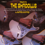 Tribute to the Shadows