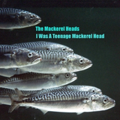 I Was A Teenage Mackerel Head