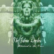 Blessed Is The Noise