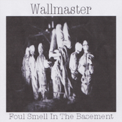 Foul Smell in the Basement