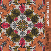 Sleepwalking Into A Fire