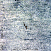 Burning giraffes at Sea [wh156]