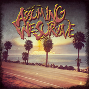 Assuming We Survive - Single