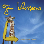 Jet Black Sunrise by Gin Blossoms