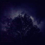 i would keep looking for you until the wind takes me back to where i started