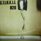 H2O