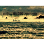 We Don't Surf: A Decade of Sound