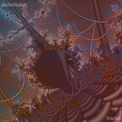 Mixotic 144 - Millerindub - Fractal