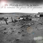 Fly To Another Place by Mr. Moods And Erik Jackson