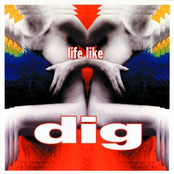 Life Like by Dig