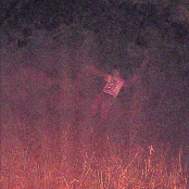 CAVAKINHO DO INFERNO